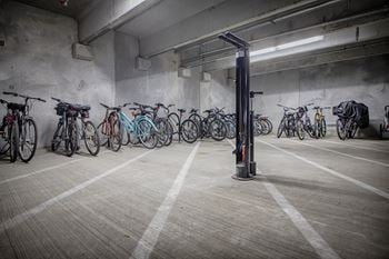 Avant apartments transportation